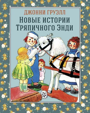 Джонни Груэлл Новые истории Тряпичного Энди обложка книги