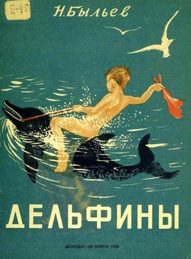 Николай Быльев Дельфины обложка книги