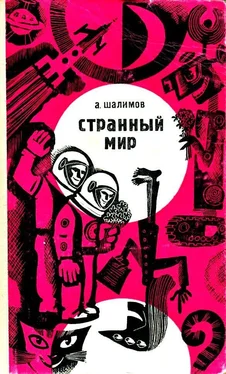 Александр Шалимов Странный мир (сборник)