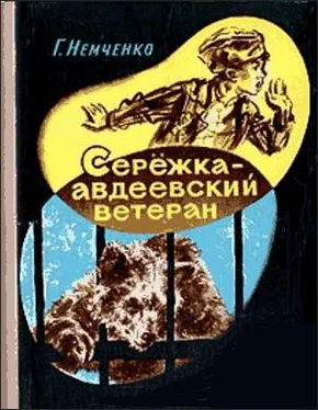 Гарий Немченко Сережка — авдеевский ветеран обложка книги