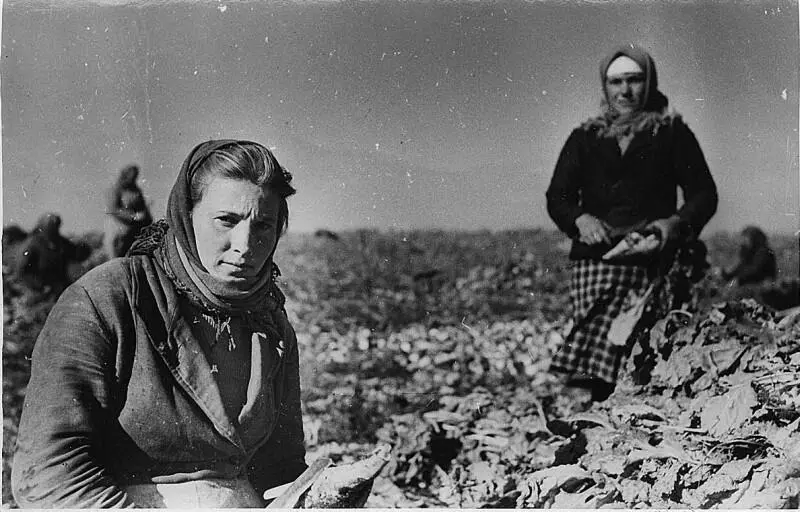 Неизвестный фотограф Фотохроника ТАСС1950е гг В отличие от любого другого - фото 6
