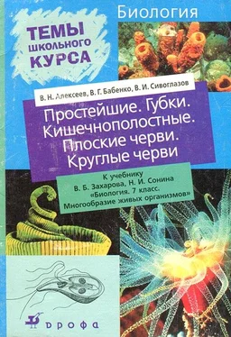 В. Алексеев Простейшие. Губки. Кишечнополостные. Плоские черви. Круглые черви обложка книги