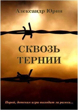 Александр Юрин Сквозь тернии обложка книги