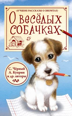 Константин Ушинский О весёлых собачках (сборник) обложка книги