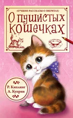 Александр Куприн - О пушистых кошечках (сборник)