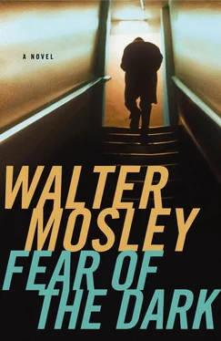 Walter Mosley Fear of the Dark обложка книги