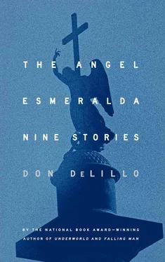 Don DeLillo The Angel Esmeralda