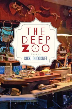 Rikki Ducornet The Deep Zoo обложка книги