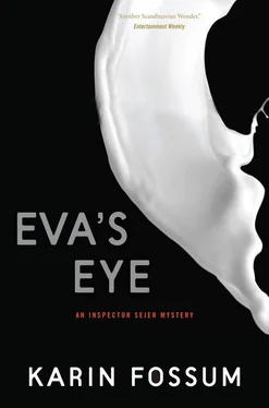 Karin Fossum Eva's Eye обложка книги