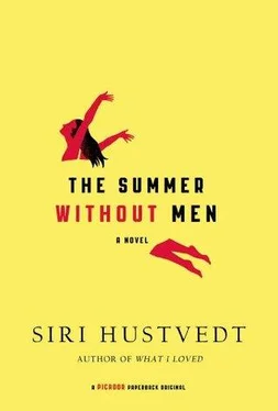 Siri Hustvedt The Summer Without Men обложка книги