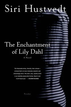 Siri Hustvedt The Enchantment of Lily Dahl обложка книги