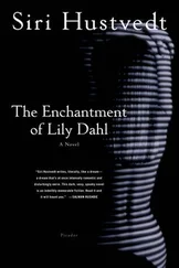 Siri Hustvedt - The Enchantment of Lily Dahl