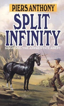 Piers Anthony Split Infinity обложка книги