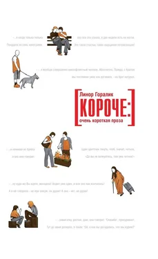 Линор Горалик Короче: очень короткая проза обложка книги