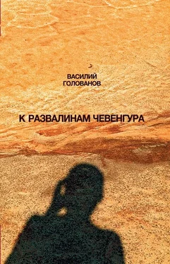 Василий Голованов К развалинам Чевенгура обложка книги