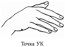 Последовательность точек 1 НБ начало брови 2 КГ край глаза 3 ПГ - фото 11