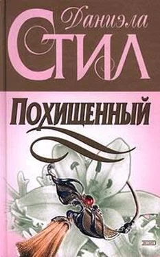 Даниэла Стил Похищенный обложка книги