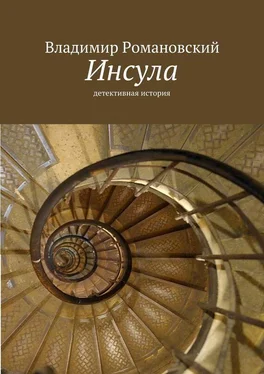 Владимир Романовский Инсула обложка книги