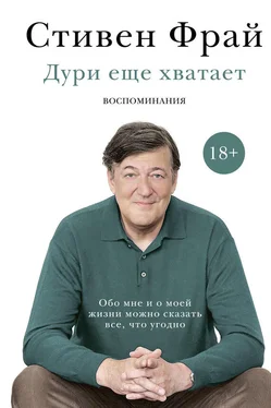 Стивен Фрай Дури еще хватает обложка книги