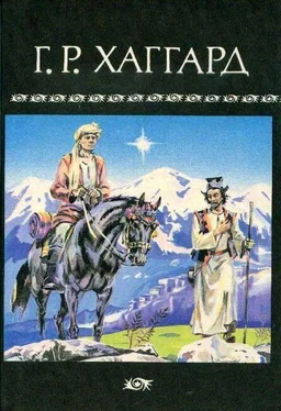 Генри Райдер Хаггард Собрание сочинений в 10 томах. Том 10 обложка книги