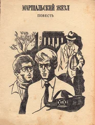 Владислав Николаев - Своя ноша