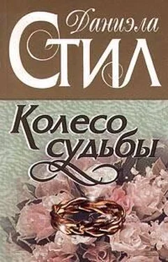 Даниэла Стил Колесо судьбы обложка книги