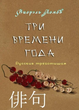 Виорэль Ломов Три времени года обложка книги