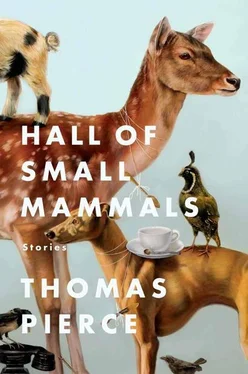 Thomas Pierce Hall of Small Mammals: Stories обложка книги