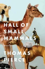 Thomas Pierce - Hall of Small Mammals - Stories