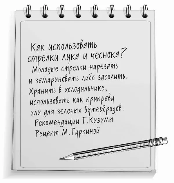 Что делатъ с крупными тыквами Известно что разрезанная тыква плохо хранится - фото 2