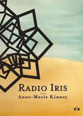 Anne-Marie Kinney Radio Iris обложка книги