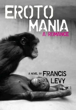 Francis Levy Erotomania: A Romance обложка книги