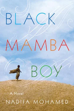 Nadifa Mohamed Black Mamba Boy обложка книги