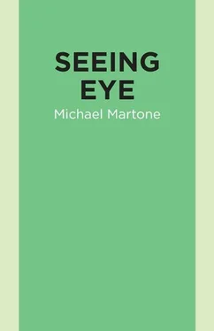 Michael Martone Seeing Eye обложка книги