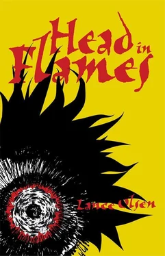 Lance Olsen Head in Flames обложка книги