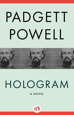 Padgett Powell Hologram: A Novel обложка книги