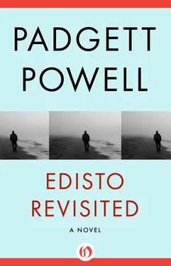 Padgett Powell Edisto Revisited: A Novel обложка книги