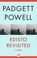 Padgett Powell - Edisto Revisited - A Novel