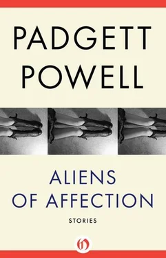 Padgett Powell Aliens of Affection: Stories обложка книги