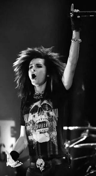 Tokio Hotel Folk rock Фолкрок Синтез рока и музыкального фольклора - фото 44