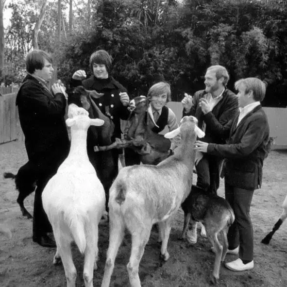 Beach Boys White blues Белый блюз Увлечение белой молодежи рокнроллом - фото 142