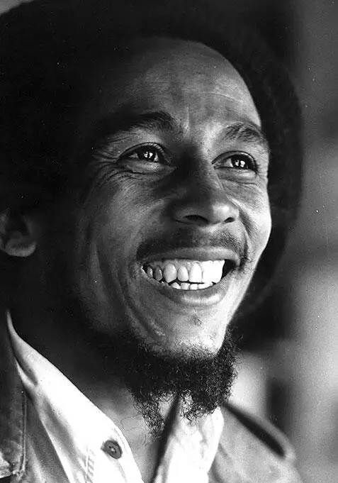 Боб Марли Skiffle Скиффл Стиль бытового музицирования популярный в Англии - фото 233