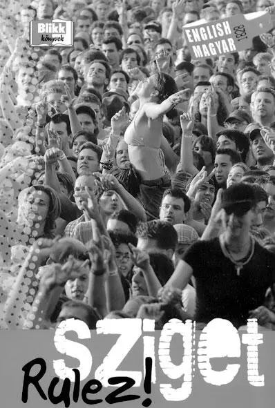 Producer Продюсер В шоубизнесе человек ответственный за готовую - фото 274