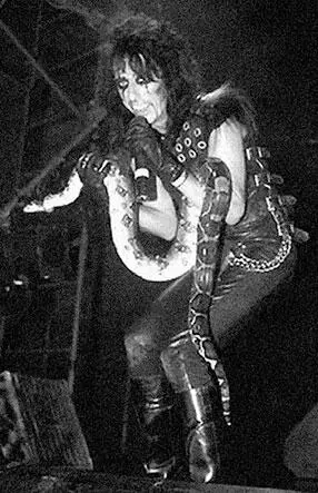 Элис Купер LP Penis Envy Crass 1981 Headliner Хедлайнер Артист - фото 294