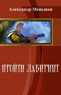 Александр Меньшов Пройти лабиринт обложка книги