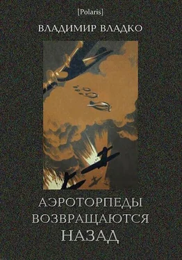 Владимир Владко Аэроторпеды возвращаются назад обложка книги