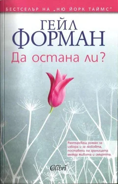 Гейл Форман Да остана ли обложка книги