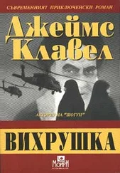 Джеймс Клавел - Вихрушка