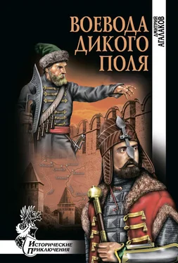 Дмитрий Агалаков Воевода Дикого поля обложка книги