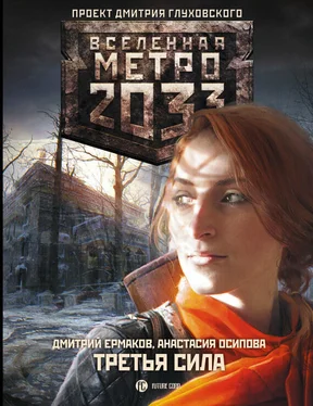 Дмитрий Ермаков Метро 2033: Третья сила обложка книги